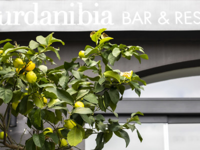 Hotel Urdanibia Park